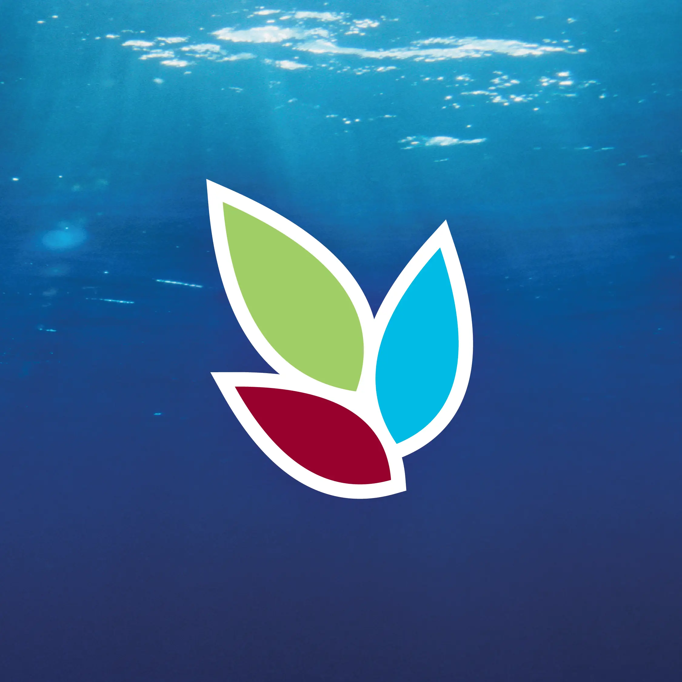 naturxan-logo-icon-teaser
