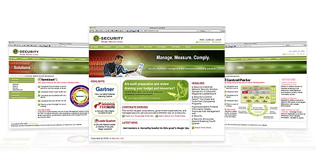 e-Security-Web-site.jpg
