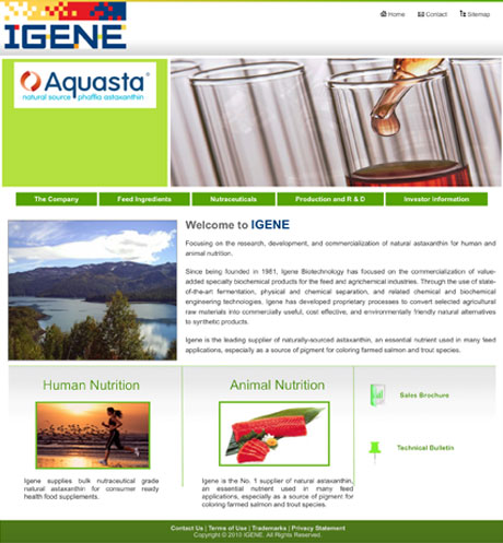 igene-website-before