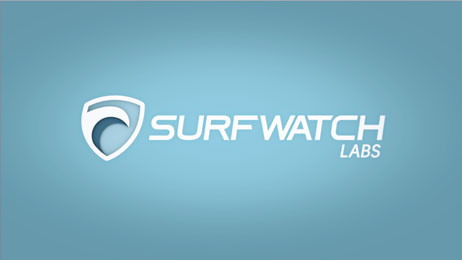 SurfWatch Cybersecurity Explainer Video