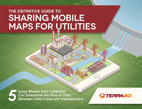TerraGo Utilities eBook