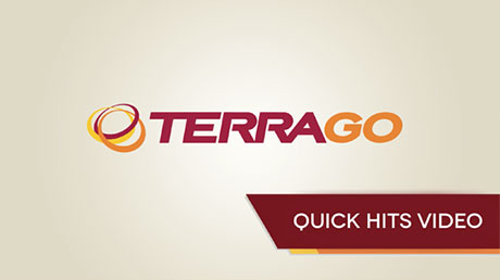 TerraGo Video Bumper Animation