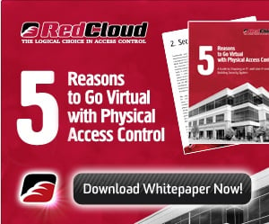 RedCloud Whitepaper Banner Ad