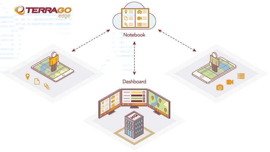 TerraGo Edge Process Graphic