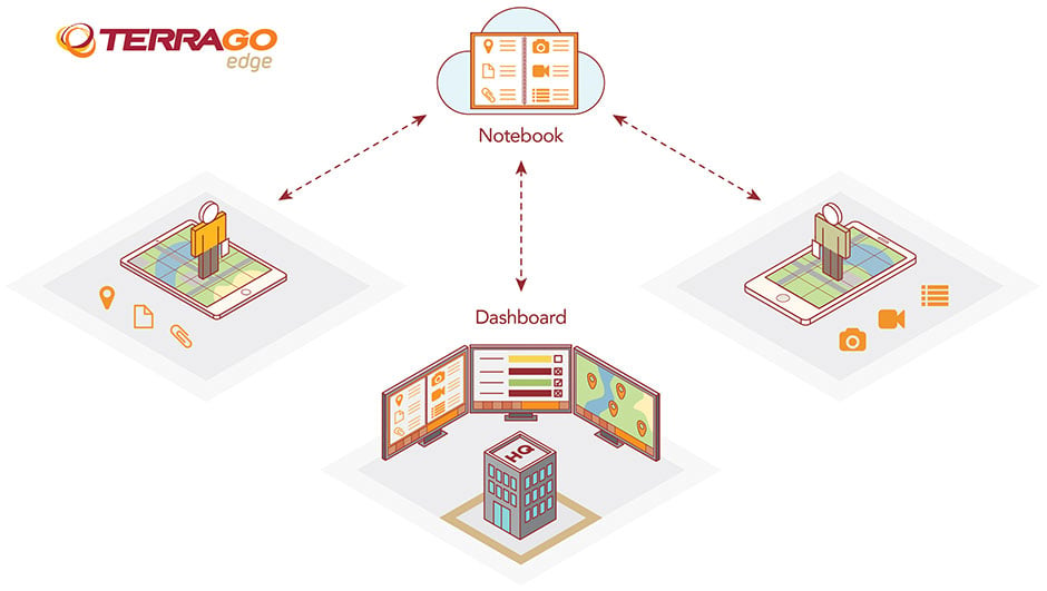 TerraGo Edge Process Graphic